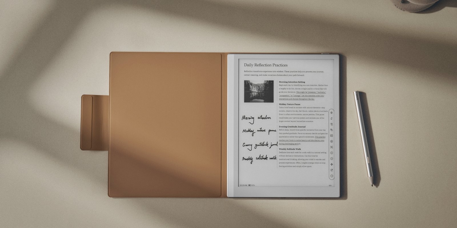 נרתיק מקורי מגנטי סגנון ספר ל- BOOX Go 10.3(Gen II) (מוקה)