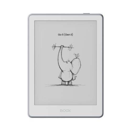 BOOX GO 6 (Gen II) אפור